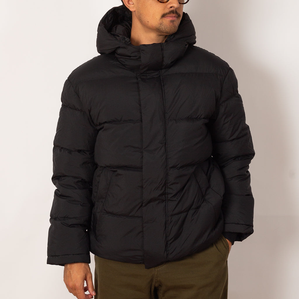 Matthew 8245 - Black