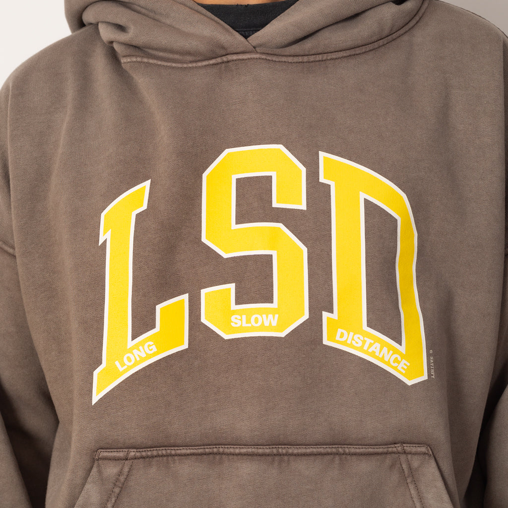 SoftCell Hoodie - Aged Falcon