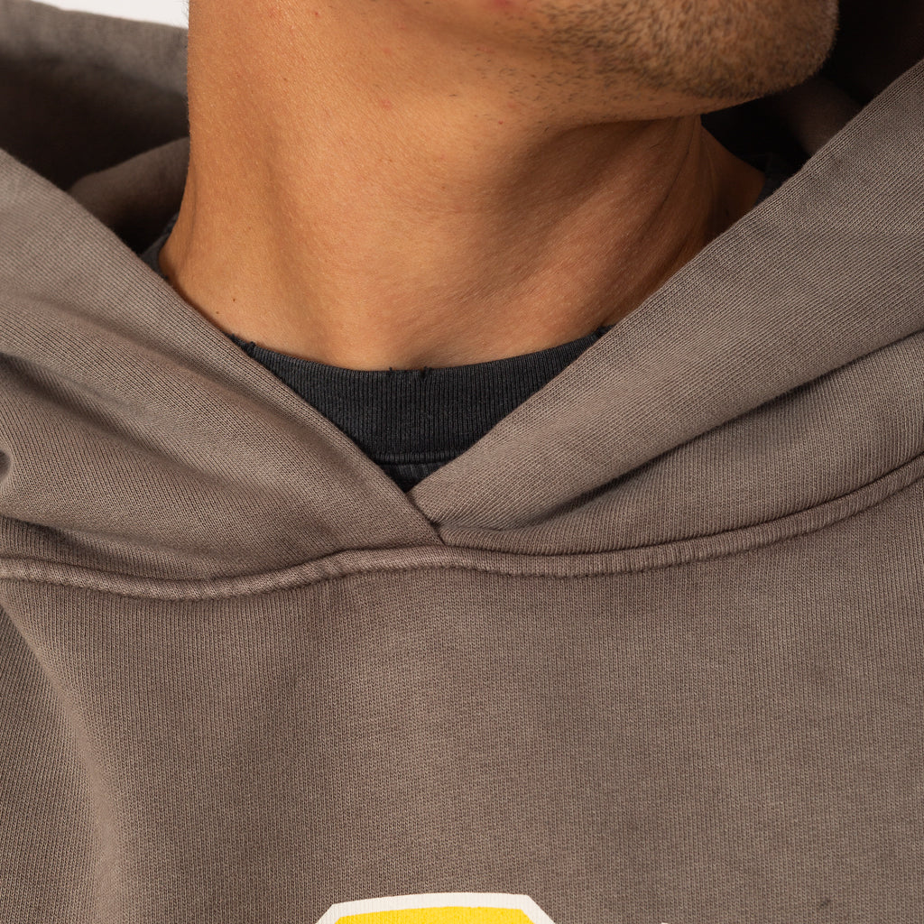 SoftCell Hoodie - Aged Falcon