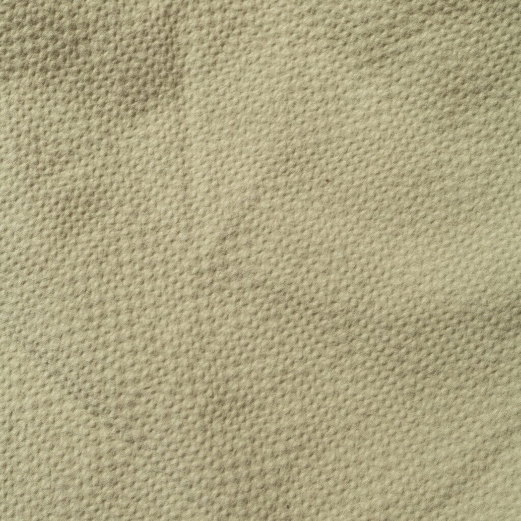 Theodor Shorts - Pale Green