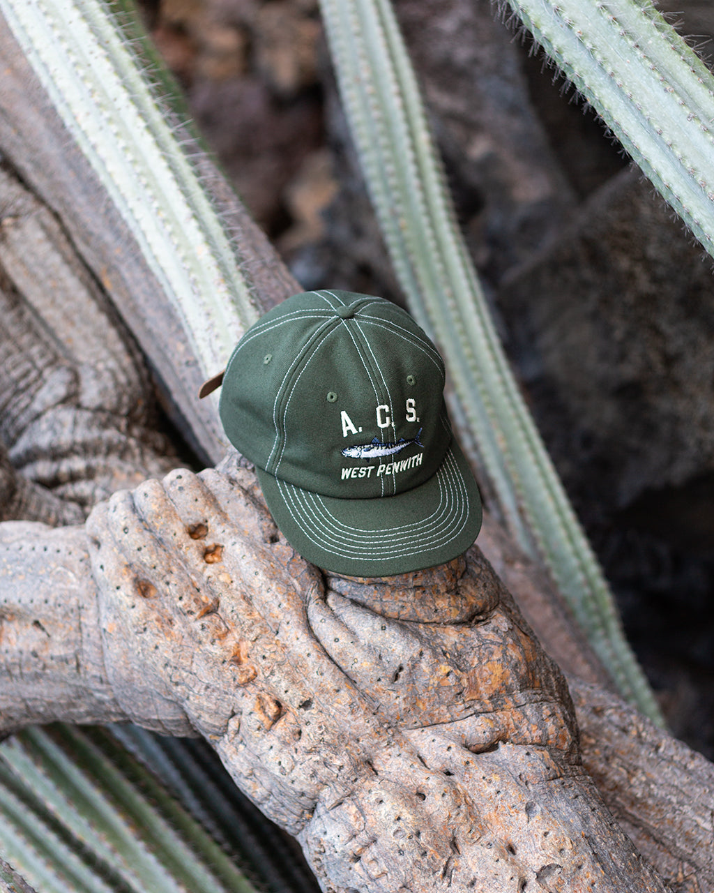 Atlantic Coastal Supplies for Peggs & son.