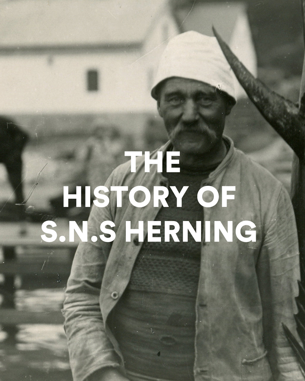 Q&A with S.N.S. Herning