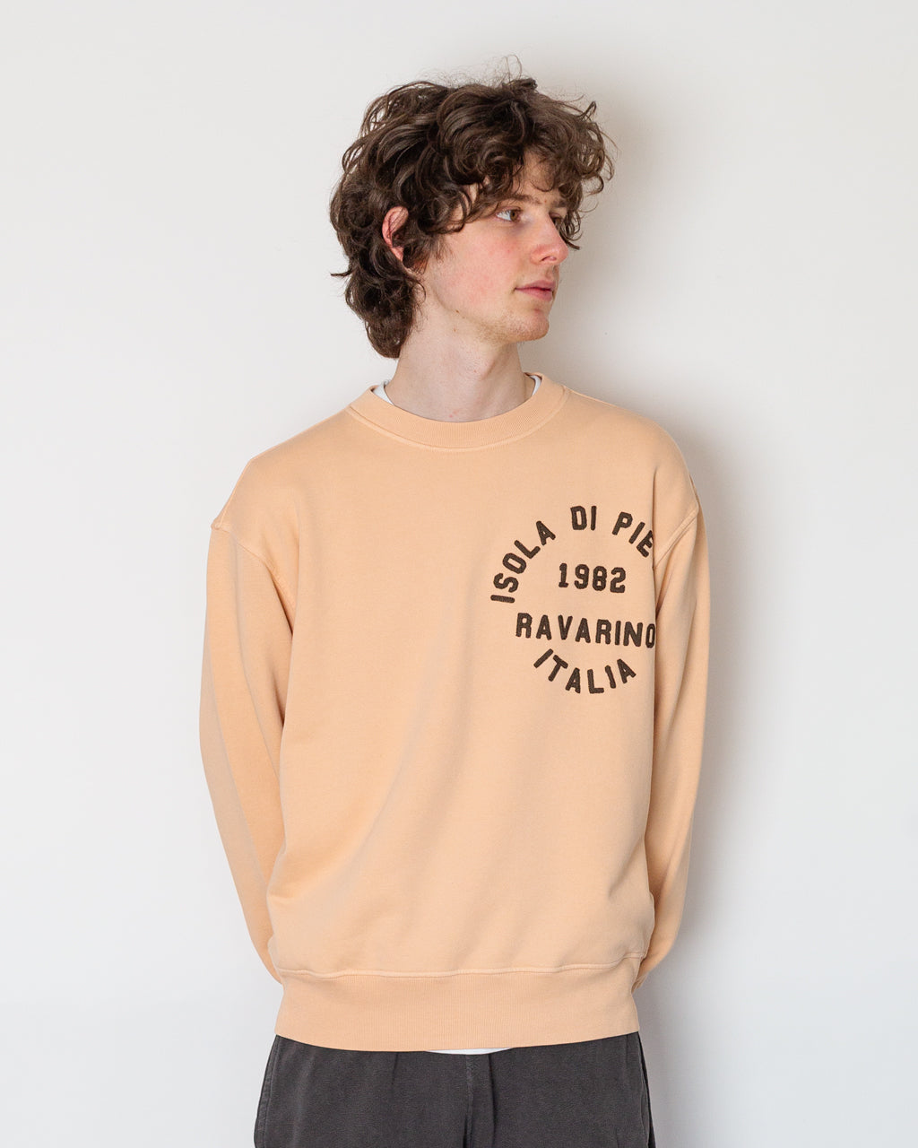 Logo Sweatshirt - V008E Plaster Pink