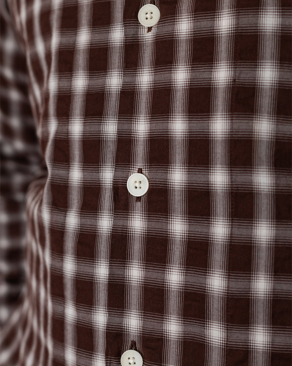 Reed 50084 - Brown Check