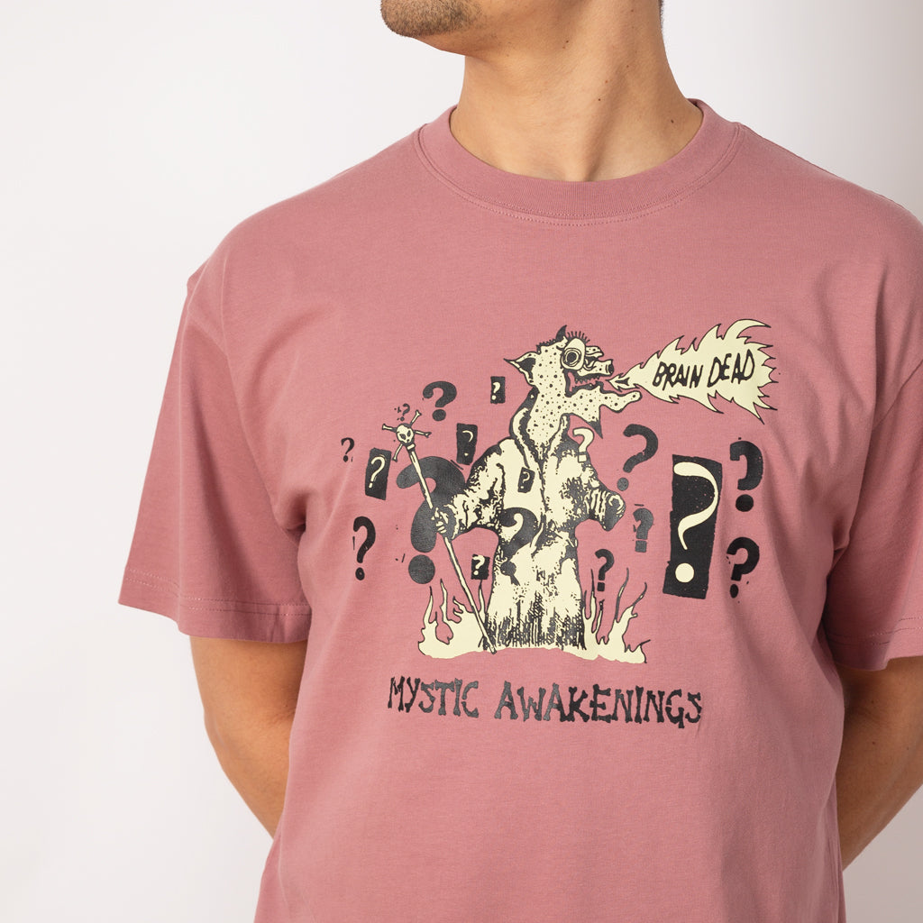 Mystic Awakenings T-Shirt - Rose Taupe