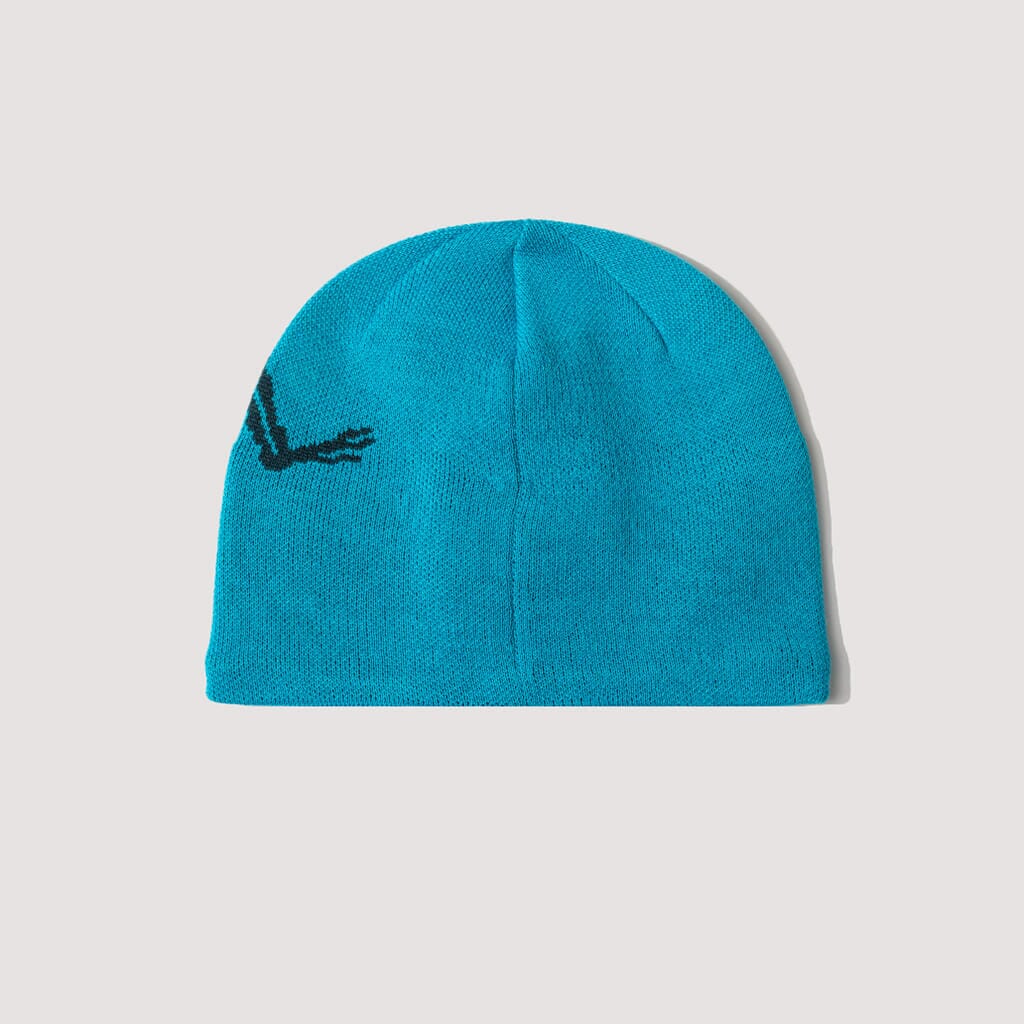 arc'teryx word head toque blue tetra