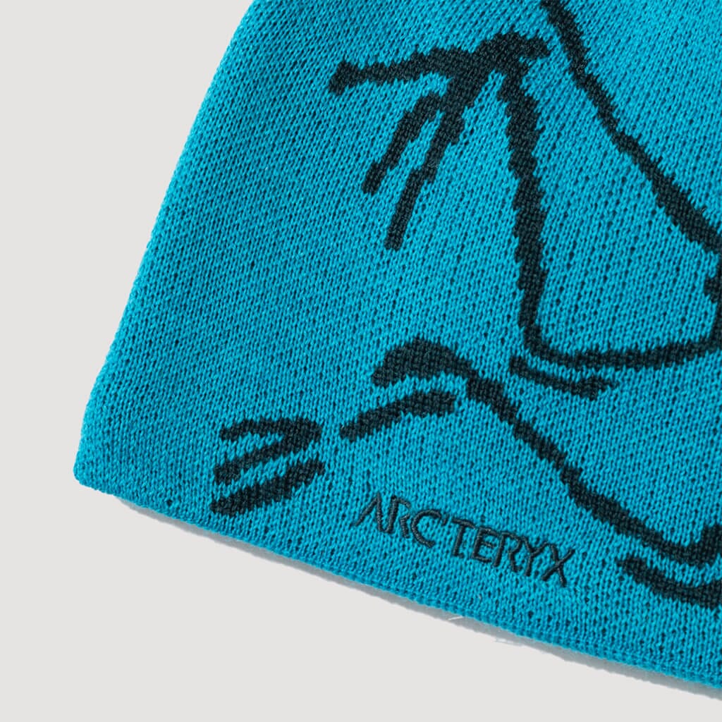 arc'teryx word head toque blue tetra